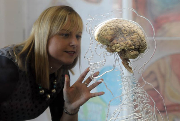 The Real Brain Exhibit @Bristol Science Centre